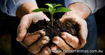 Which type of gardener are you? - The Canberra Times