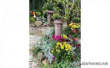 The Gestalt Gardener: Combining diverse elements into unique creations - Kosciusko Star Herald