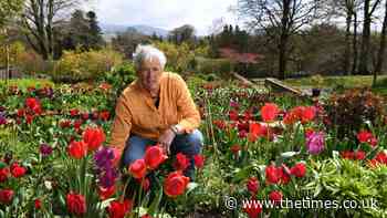 Gardener June Blake: 'In a week or two, we will have blue poppies from the Himalayas, and dahlias' - The Times