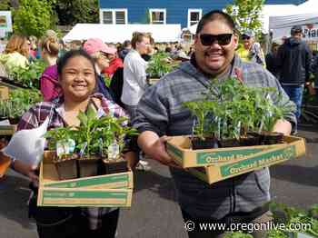 Across Oregon, Master Gardener plant sales return in time for spring planting - OregonLive