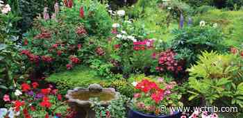 Master Gardener: Bring on spring, but don't rush your garden - West Central Tribune