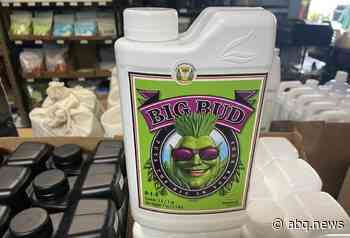 Ganja Gardener: You Can’t Always Get What You Want - The Paper