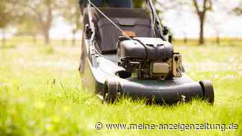 Unkraut im Rasen bekämpfen: Hausmittel helfen im Garten – ganz ohne Chemie