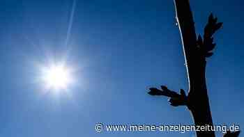 Wie wird der Sommer 2022? Experte mit Prognose