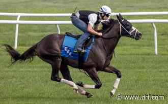 Former course specialists try new turf in Opening Verse, Unbridled Sidney - Daily Racing Form