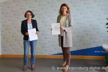 Stadtbahn: Clinch um 60 Zentimeter Brücke » Regensburg Digital - regensburg-digital.de