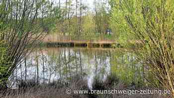 Leiche in Regenrückhaltebecken bei Emmerstedt aufgefunden