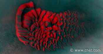 Space Slug? Mars Looks Like an Alien Creature in Wild NASA Image     - CNET