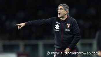 LIVE TMW - Torino, Juric: "Siamo soddisfatti del sesto risultato utile" - TUTTO mercato WEB