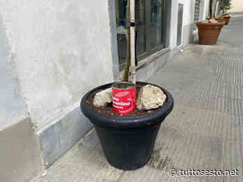 "Sesto in barattolo": pulisci la città e la conosci meglio - Stefano