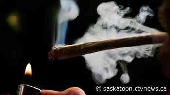 More Sask. drivers losing their license for failing roadside drug tests: SGI