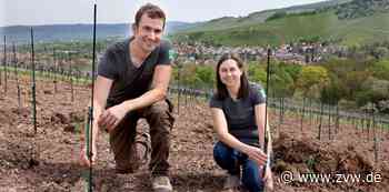 Bio-Weingut Singer-Bader aus Kernen setzt auf pilzresistente Rebsorten - Kernen - Zeitungsverlag Waiblingen