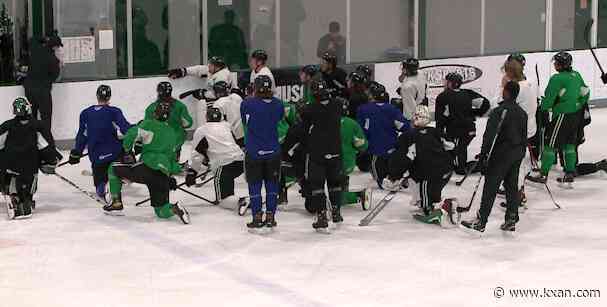 Texas Stars surge into Calder Cup Playoffs