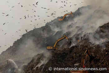 Derita Warga India yang Tinggal Dekat Gunung Sampah di New Delhi - SINDOnews