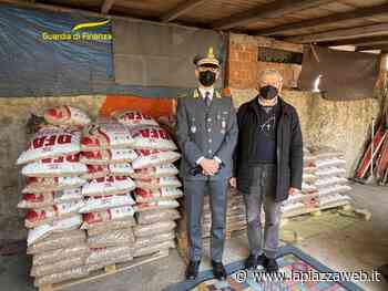 Schio, la Finanza consegna alla parrochia quasi 2.5 tonnellate di pellet sequestrato per i bisognosi - La Piazza