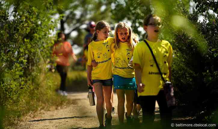 Here’s How Much More You’ll Pay For Summer Camp This Year. It’s Not Pretty