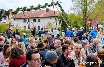 Krone bricht ab: Schreckmoment beim Maibaumaufstellen - Traunstein - Passauer Neue Presse - PNP.de