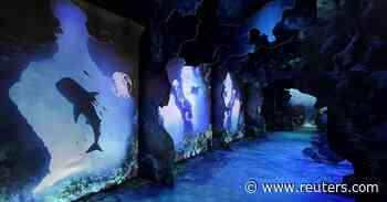 Augmented reality exhibit in New York looks at impact of climate change - Reuters