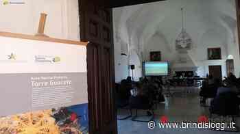 Turismo sostenibile a Torre Guaceto: arriva l'educational - BrindisiOggi