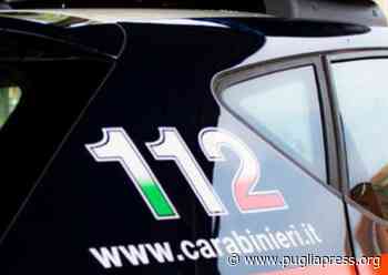 Mesagne: anziana guida contromano sulla SS 7 direzione Brindisi- Taranto, intervengono i Carabinieri - Puglia Press