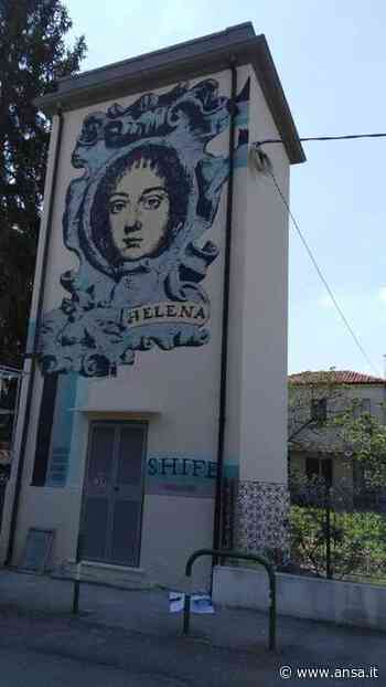 E-distribuzione: Padova, Elena Cornaro in opera street art - Agenzia ANSA