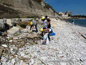 Trani, all'opera i beneficiari del reddito di cittadinanza per la pulizia delle spiagge - ilgiornaleditrani - Radio Bombo