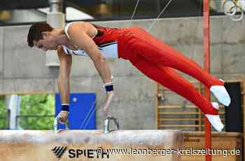Turnen - WTG-Teams verpassen den Aufstieg - Leonberger Kreiszeitung