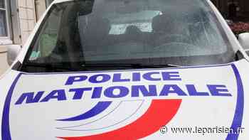 Savigny-le-Temple : deux jeunes filles permettent l'arrestation des cambrioleurs entrés chez elles - Le Parisien