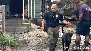 K-9 Bruno, newest arson detective, seen on the job after vacant home goes up in flames - KENS5.com