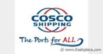 COSCO SHIPPING Ports announces 2022 first quarter results - FreshPlaza.com