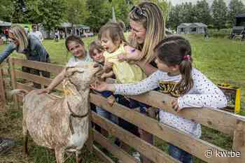 Familiebeurs Schone Schaapjes is terug in Staden - KW.be