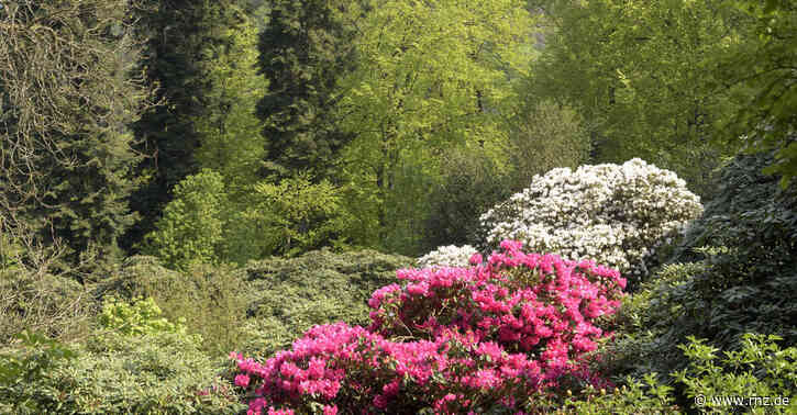 Heidelberg:  Neue Schutzhütte mit Aussichts-Plattform im Stadtwald eingeweiht