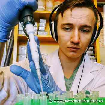 DC local discovers new fungi to combat vineyard disease - Dawson Creek Mirror