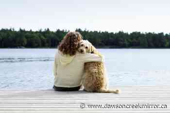 How humane is Canada towards animals? - Dawson Creek Mirror