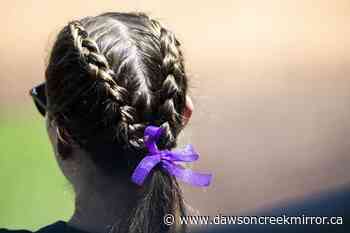 JMU cancels rest of softball season after player's suicide - Dawson Creek Mirror