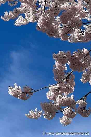 LANGEVIN: getting into Heaven - Dawson Creek Mirror