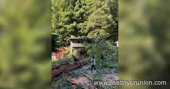 Sunny Brae tree fall drops lines, cuts power, blocks street - Mad River Union