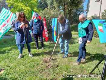 Il primo maggio a Benevento tra pace e lavoro - anteprima24.it