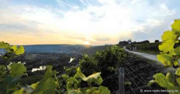 Frankenwein wird wohl teurer