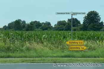 Ab 3. Mai: Neuer Radweg zwischen Davensberg und Ascheberg wird gebaut | Ascheberg - Ruhr Nachrichten