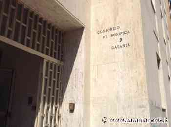 Consorzi di bonifica, 16 stabilizzati tra Catania e Caltagirone - Catania News - Catania News