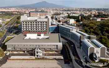 Catania, stabilizzati 14 medici al Policlinico - Livesicilia.it