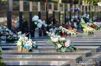 Catania, online le graduatorie per i loculi nel cimitero Acquicella: come ottenerli - FocuSicilia