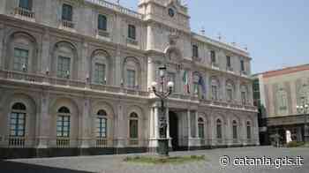 Broncopneumopatie, parte da Catania il ciclo di formazione per i farmacisti - Giornale di Sicilia