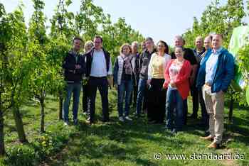Nieuw stikstofakkoord bedreigt ook Wijngaardberg - De Standaard