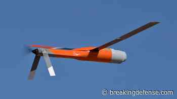 Army stretches little wings with desert mini-drone swarm tests