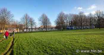 Vrijwilligers gezocht voor opvang en onderwijs Oekraïense vluchtelingen - Het Laatste Nieuws