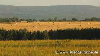 Natur - Kiel - Umweltschützer für Festlegung auf weniger Flächenverbrauch - Wissen - Süddeutsche Zeitung - SZ.de