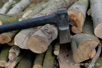 Mann greift 46-Jährigen und Polizei mit Axt an – Polizist schießt auf ihn - Mopo.de