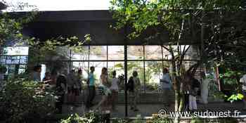 Dax : premières Rencontres botaniques pour le parc du Sarrat, samedi 23 avril - Sud Ouest